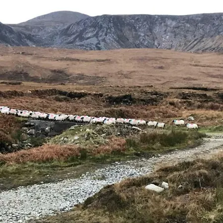 بيت للعطل High Road *